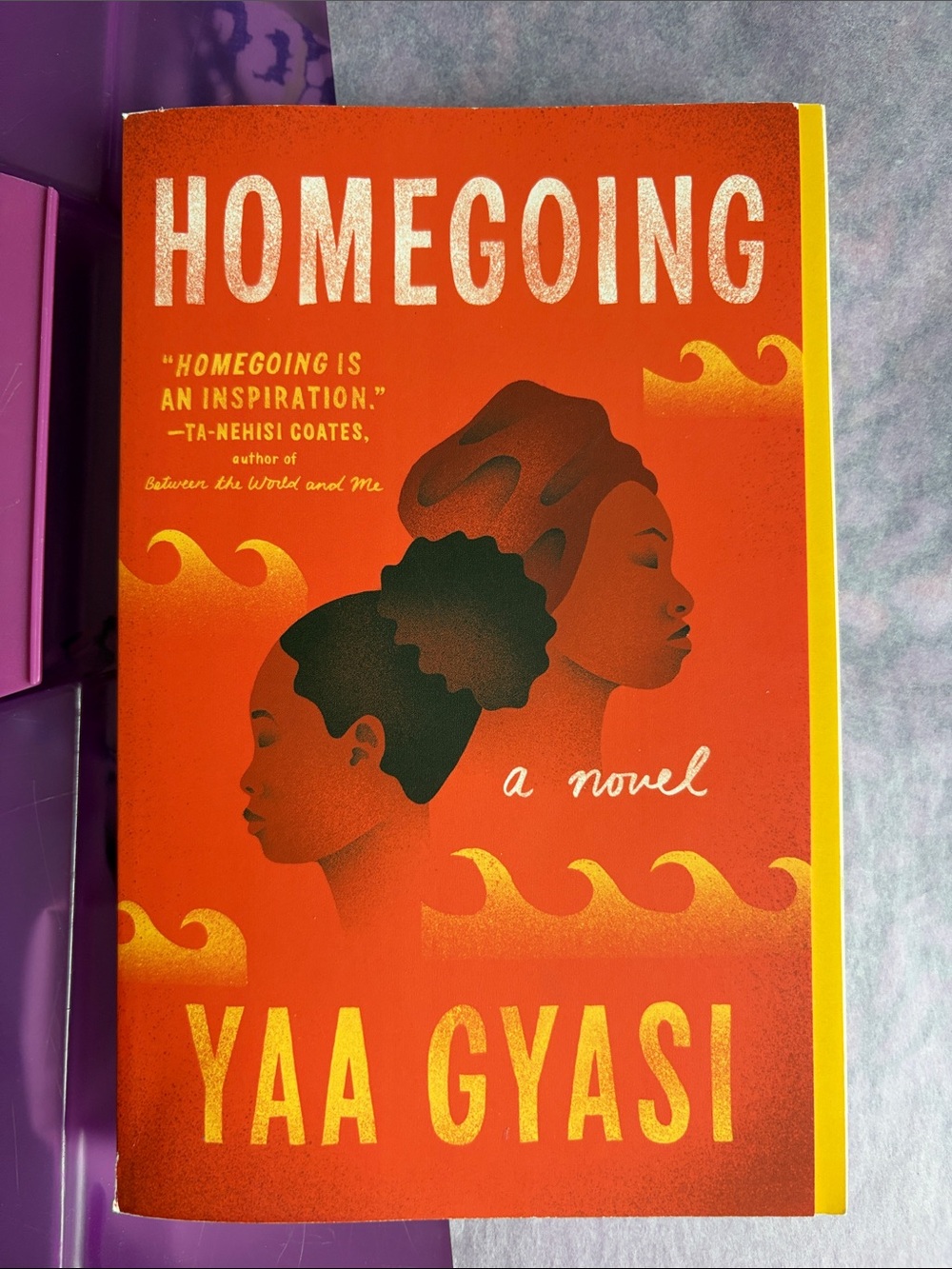 Homegoing by Yaa Gyasi- Paperback